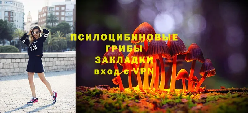 Псилоцибиновые грибы Magic Shrooms  Зверево 